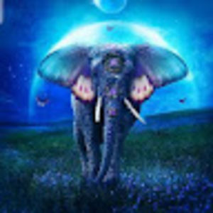 Meet your Posher, Sierra